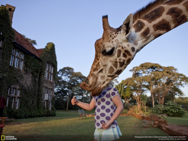 Τρίτο βραβείο: Giraffe Manor στην Κένυα