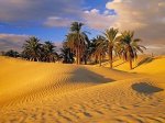 Ειμαστε μια ωραία ατμόσφαιρα!  - Σελίδα 19 Oasis-3-tunisian-desert